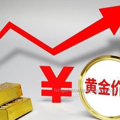 知名黄金机构疑爆雷：深度剖析1200万投资陷阱